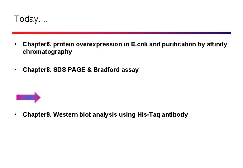 Today. . • Chapter 6. protein overexpression in E. coli and purification by affinity