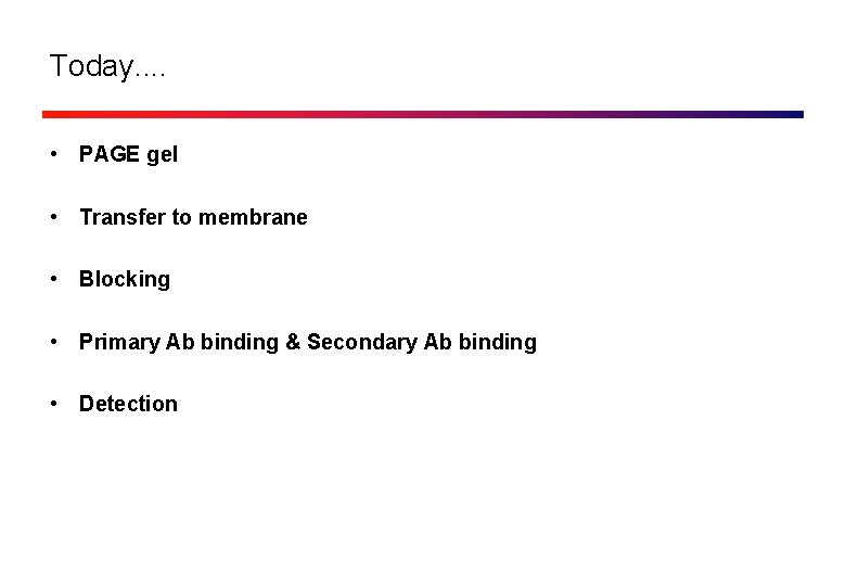 Today. . • PAGE gel • Transfer to membrane • Blocking • Primary Ab