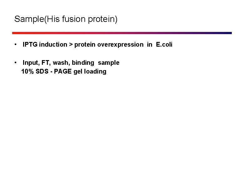 Sample(His fusion protein) • IPTG induction > protein overexpression in E. coli • Input,