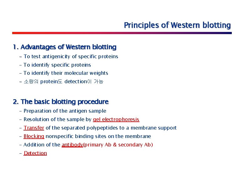 Principles of Western blotting 1. Advantages of Western blotting - To test antigenicity of