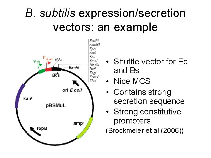 B. subtilis expression/secretion vectors: an example • Shuttle vector for Ec and Bs. •