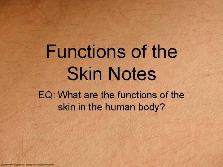 Functions of the Skin Notes EQ: What are the functions of the skin in