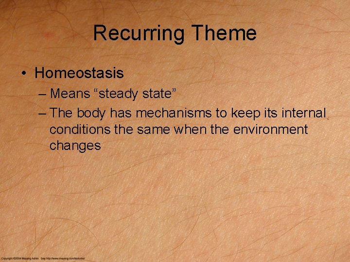 Recurring Theme • Homeostasis – Means “steady state” – The body has mechanisms to