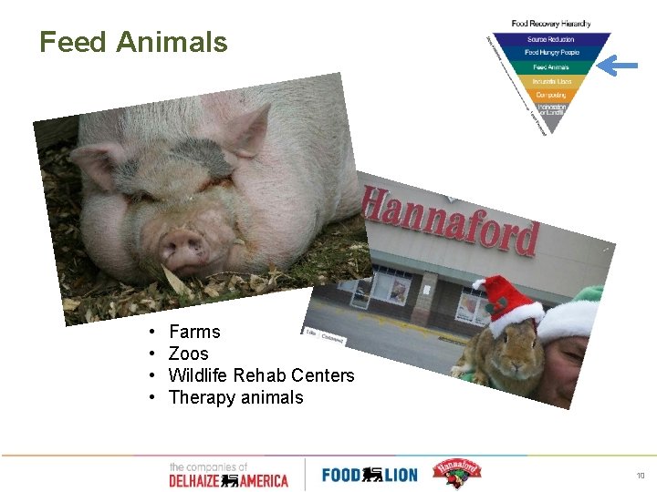 Feed Animals • • Farms Zoos Wildlife Rehab Centers Therapy animals 10 