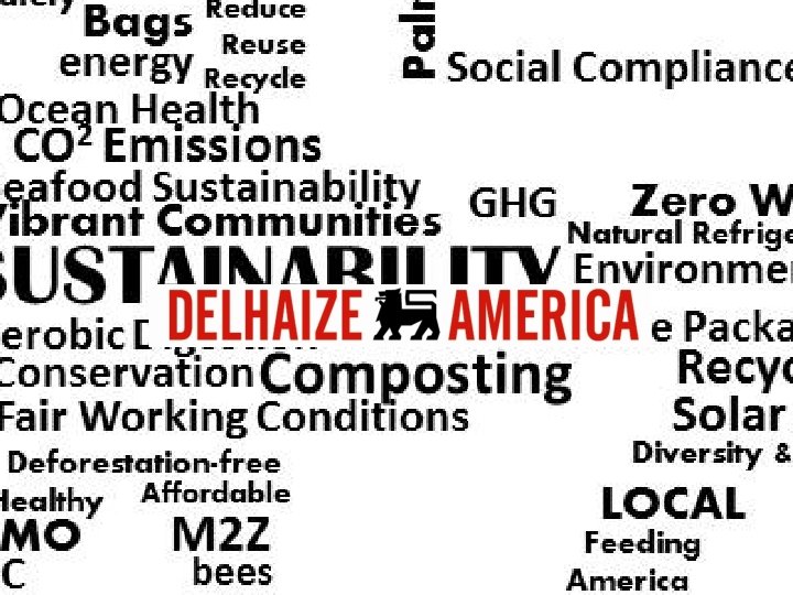 Sustainability at Delhaize America 4 