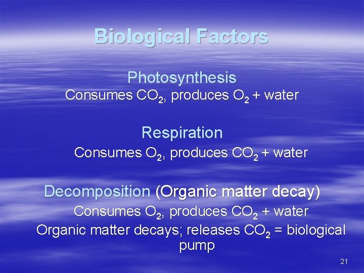 Biological Factors Photosynthesis Consumes CO 2, produces O 2 + water Respiration Consumes O