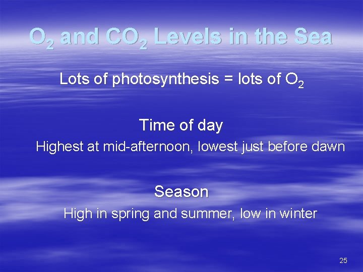 O 2 and CO 2 Levels in the Sea Lots of photosynthesis = lots