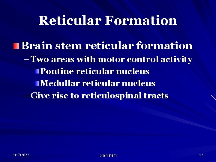 Reticular Formation Brain stem reticular formation – Two areas with motor control activity Pontine