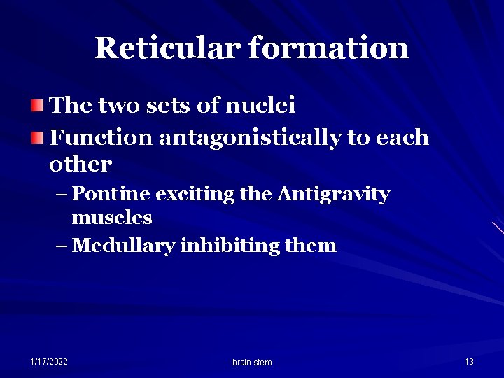 Reticular formation The two sets of nuclei Function antagonistically to each other – Pontine