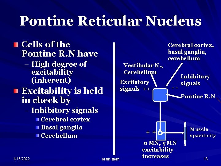 Pontine Reticular Nucleus Cells of the Pontine R. N have Cerebral cortex, basal ganglia,