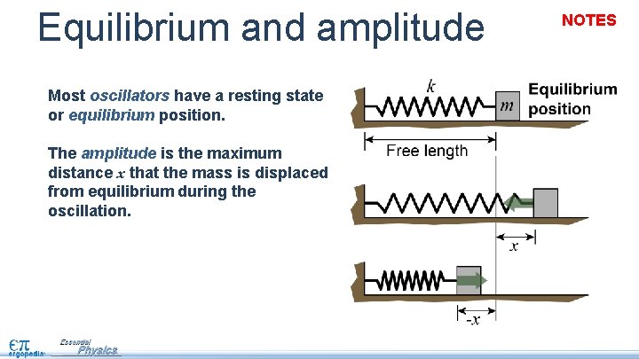 Equilibrium and amplitude Most oscillators have a resting state or equilibrium position. The amplitude