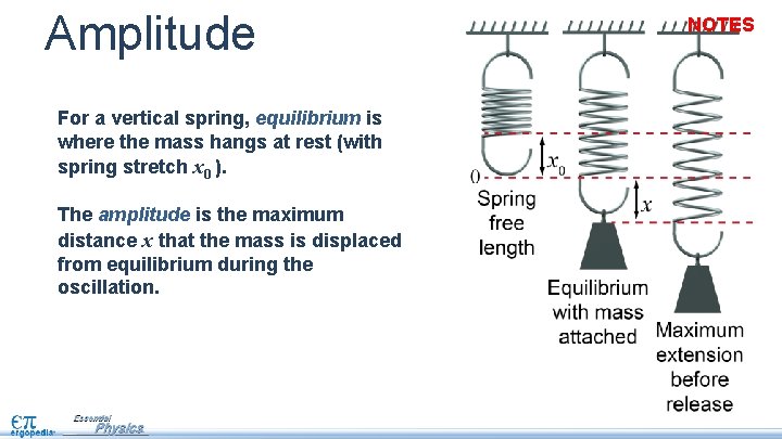 Amplitude For a vertical spring, equilibrium is where the mass hangs at rest (with