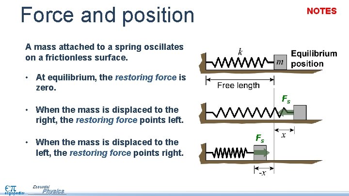 Force and position NOTES A mass attached to a spring oscillates on a frictionless