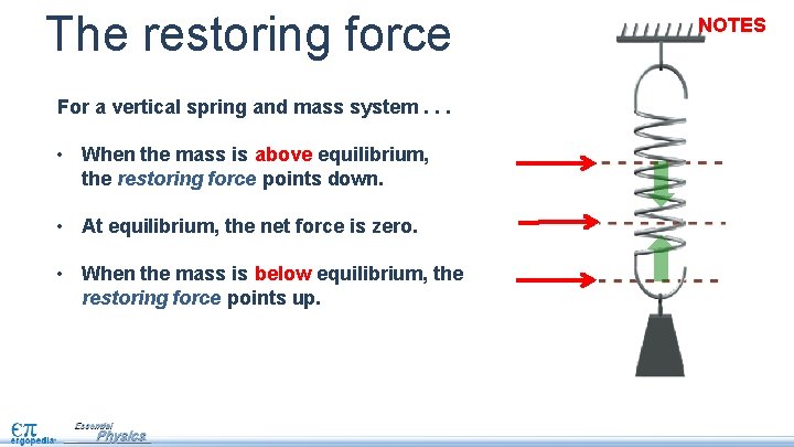 The restoring force For a vertical spring and mass system. . . • When