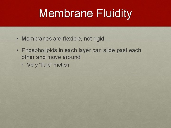 Membrane Fluidity • Membranes are flexible, not rigid • Phospholipids in each layer can Membrane Fluidity • Membranes are flexible, not rigid • Phospholipids in each layer can