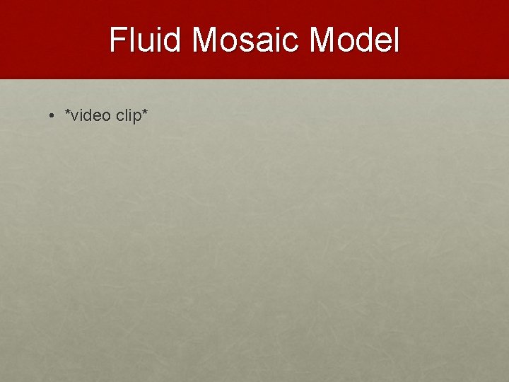 Fluid Mosaic Model • *video clip* Fluid Mosaic Model • *video clip*