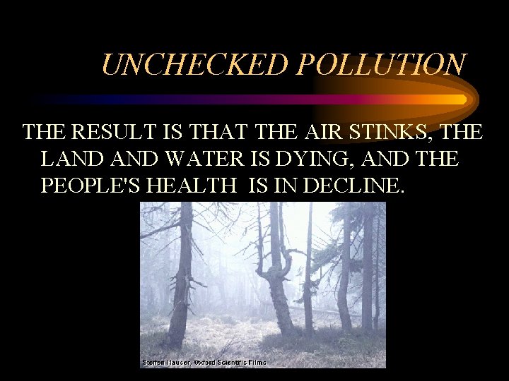 UNCHECKED POLLUTION THE RESULT IS THAT THE AIR STINKS, THE LAND WATER IS DYING,