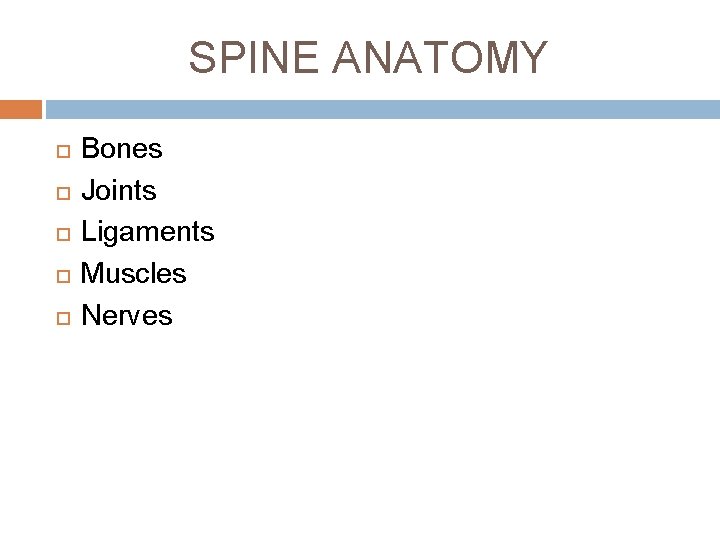 SPINE ANATOMY Bones Joints Ligaments Muscles Nerves 