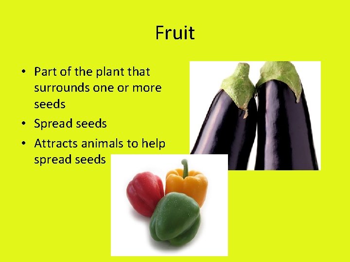 Fruit • Part of the plant that surrounds one or more seeds • Spread