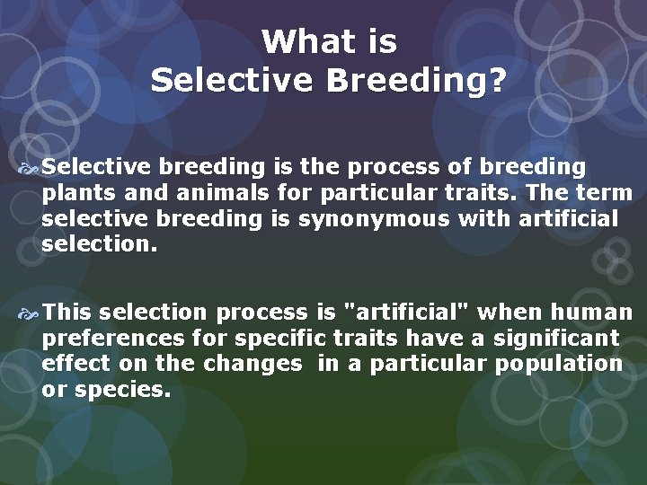 What is Selective Breeding? Selective breeding is the process of breeding plants and animals