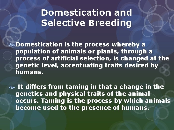 Domestication and Selective Breeding Domestication is the process whereby a population of animals or
