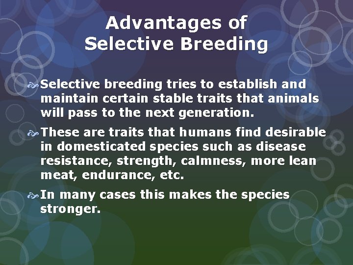 Advantages of Selective Breeding Selective breeding tries to establish and maintain certain stable traits