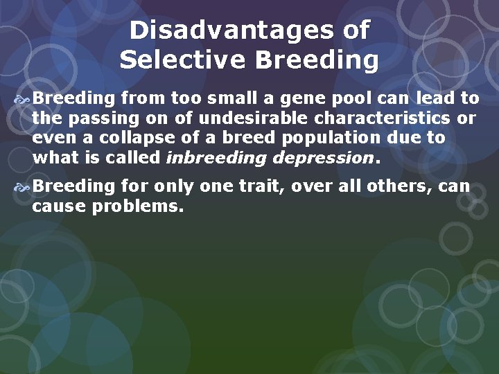 Disadvantages of Selective Breeding from too small a gene pool can lead to the