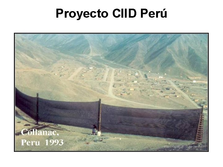 Proyecto CIID Perú 