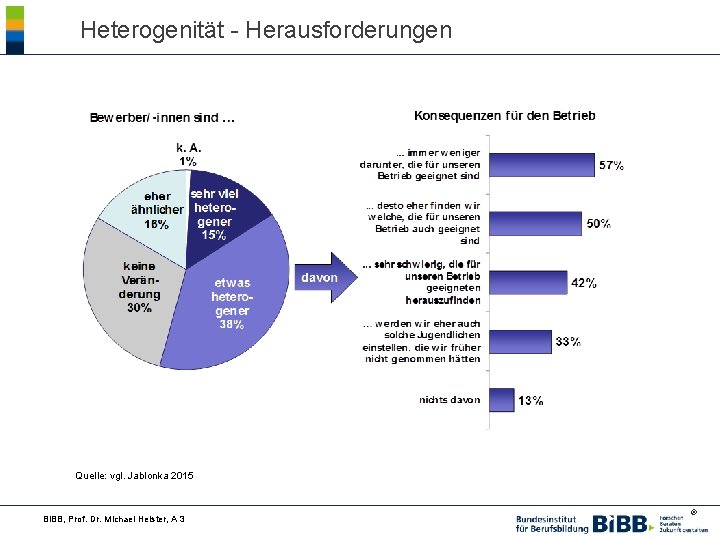 Heterogenität - Herausforderungen Quelle: vgl. Jablonka 2015 BIBB, Prof. Dr. Michael Heister, A 3