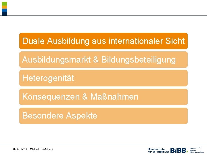 Duale Ausbildung aus internationaler Sicht Ausbildungsmarkt & Bildungsbeteiligung Heterogenität Konsequenzen & Maßnahmen Besondere Aspekte