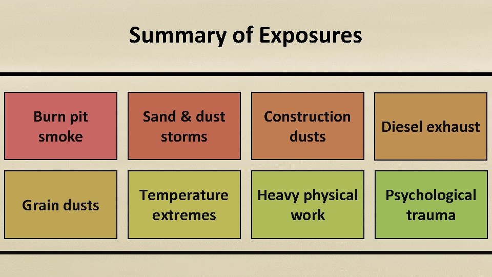 Summary of Exposures Burn pit smoke Sand & dust storms Construction dusts Diesel exhaust