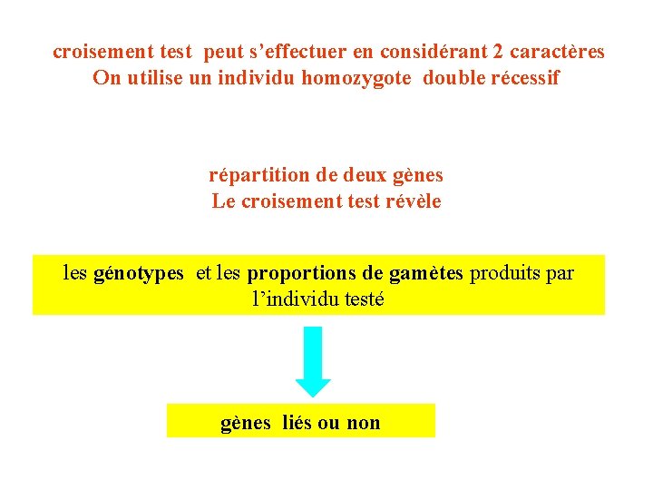 croisement test peut s’effectuer en considérant 2 caractères On utilise un individu homozygote double