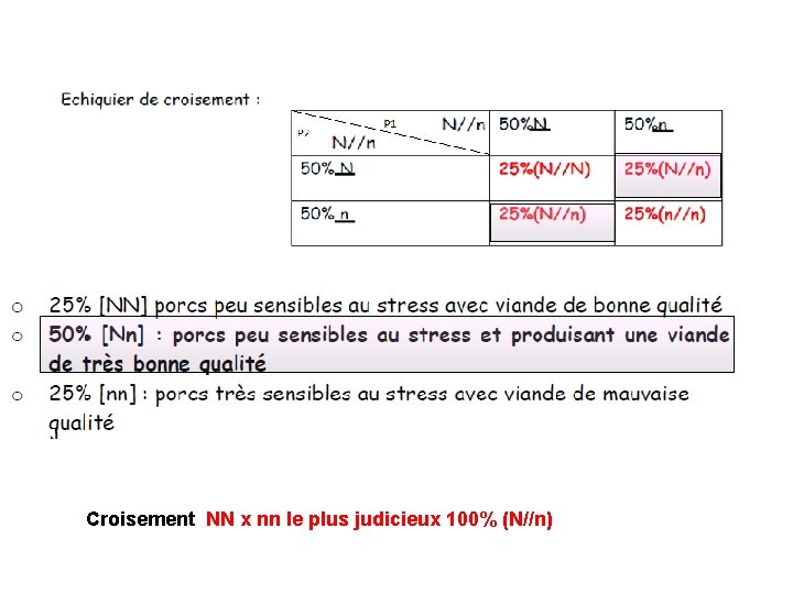 Croisement NN x nn le plus judicieux 100% (N//n) 