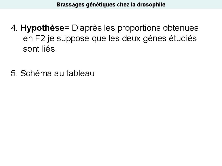 Brassages génétiques chez la drosophile 4. Hypothèse= D’après les proportions obtenues en F 2