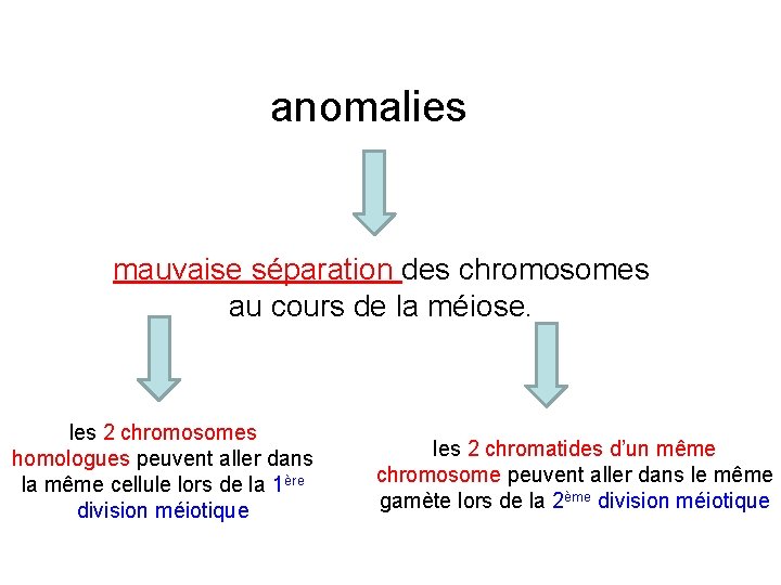 anomalies mauvaise séparation des chromosomes au cours de la méiose. les 2 chromosomes homologues