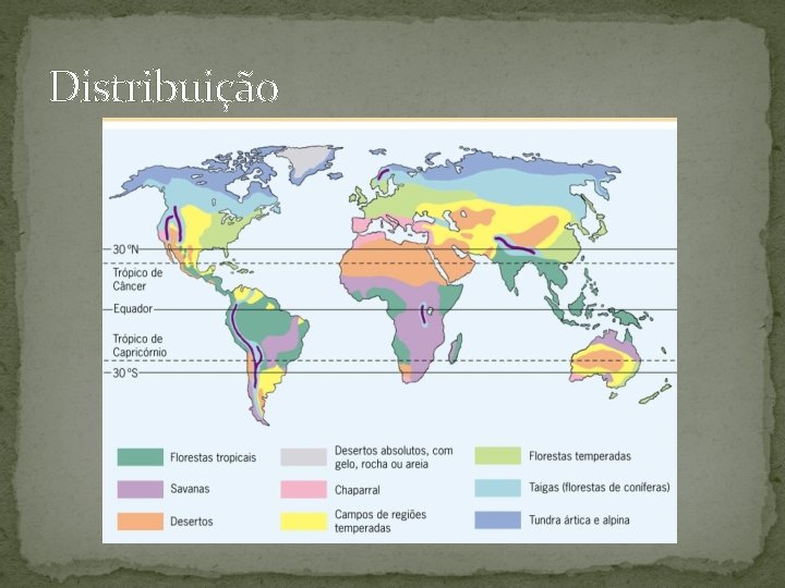 Distribuição 