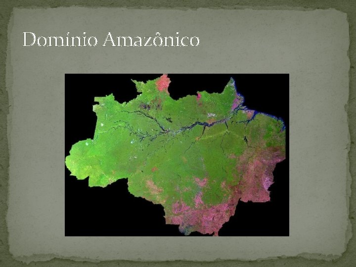Domínio Amazônico 