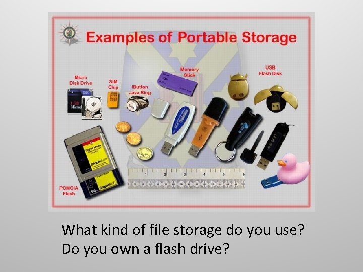 What kind of file storage do you use? Do you own a flash drive?