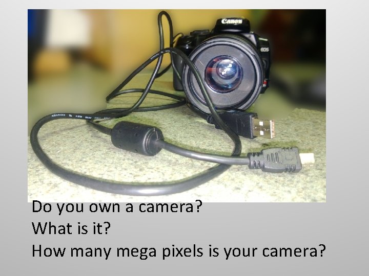Do you own a camera? What is it? How many mega pixels is your