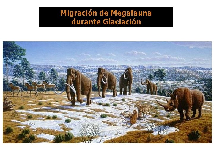 Migración de Megafauna durante Glaciación 