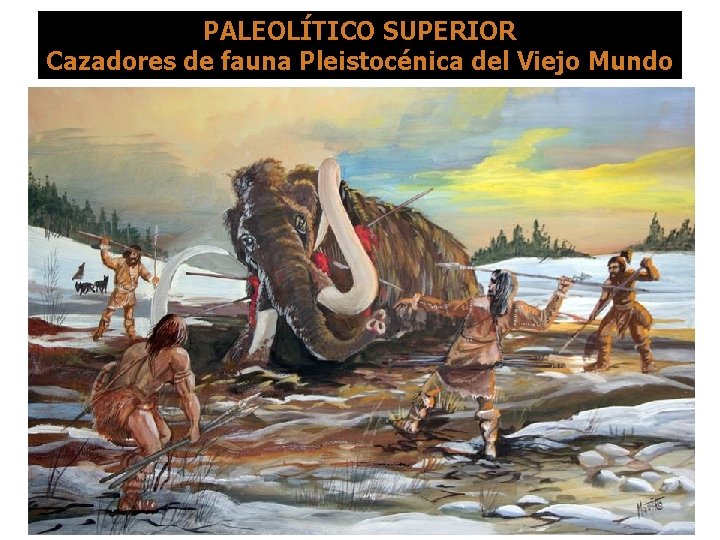 PALEOLÍTICO SUPERIOR Cazadores de fauna Pleistocénica del Viejo Mundo 