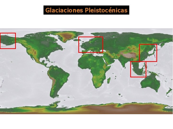 Glaciaciones Pleistocénicas 