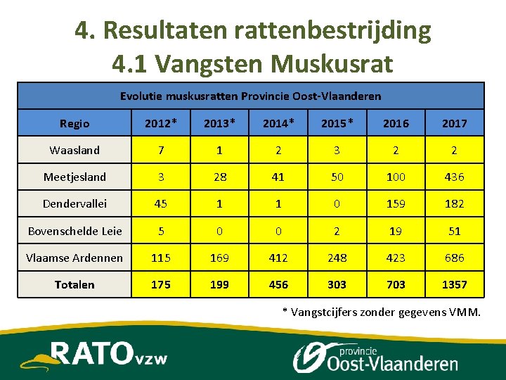 4. Resultaten rattenbestrijding 4. 1 Vangsten Muskusrat Evolutie muskusratten Provincie Oost-Vlaanderen * Vangstcijfers zonder