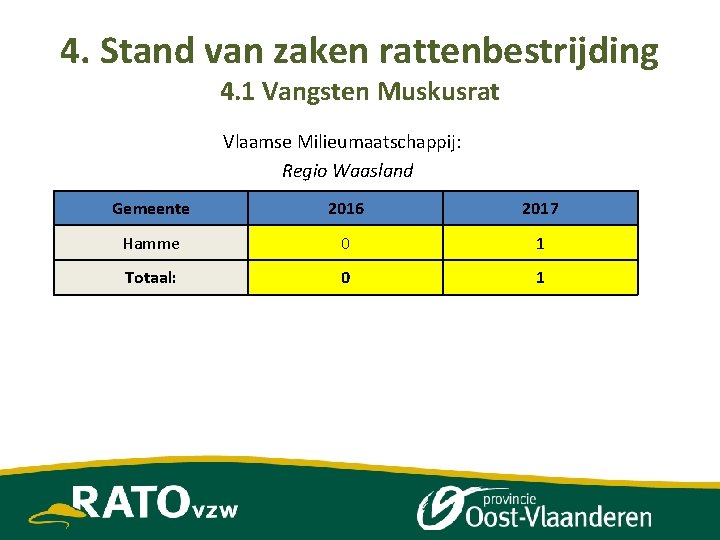 4. Stand van zaken rattenbestrijding 4. 1 Vangsten Muskusrat Vlaamse Milieumaatschappij: Regio Waasland Gemeente