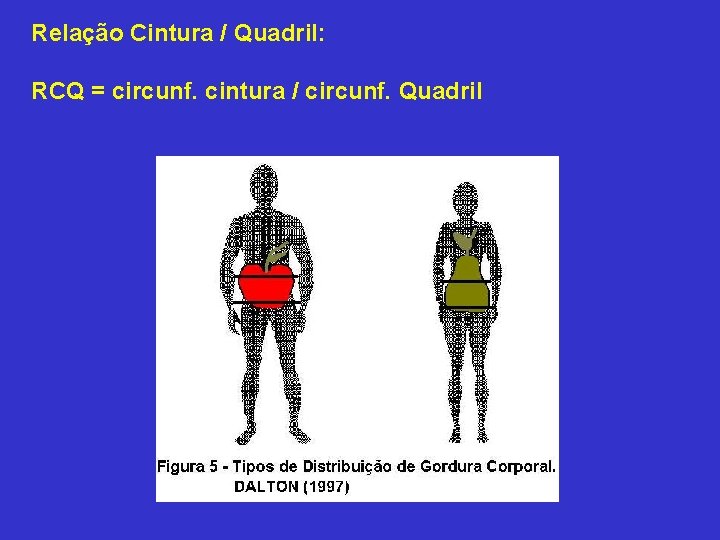 Relação Cintura / Quadril: RCQ = circunf. cintura / circunf. Quadril 