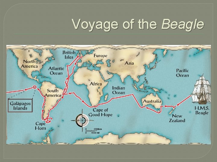 Voyage of the Beagle 