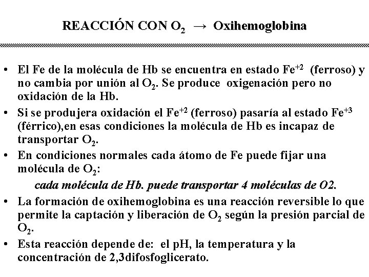 REACCIÓN CON O 2 → Oxihemoglobina • El Fe de la molécula de Hb
