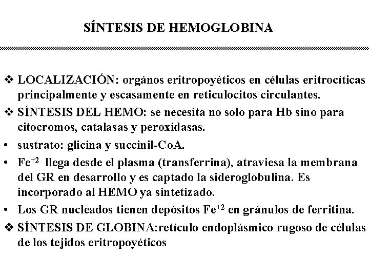 SÍNTESIS DE HEMOGLOBINA v LOCALIZACIÓN: orgános eritropoyéticos en células eritrocíticas principalmente y escasamente en