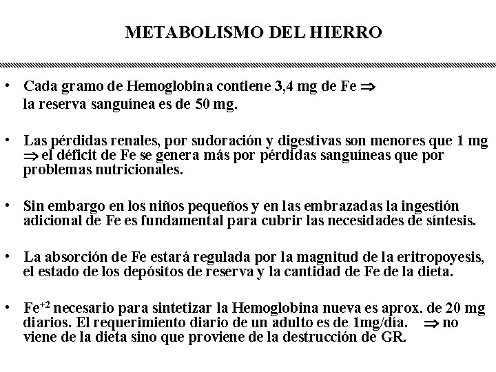 METABOLISMO DEL HIERRO • Cada gramo de Hemoglobina contiene 3, 4 mg de Fe