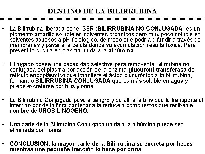 DESTINO DE LA BILIRRUBINA • La Bilirrubina liberada por el SER (BILIRRUBINA NO CONJUGADA)